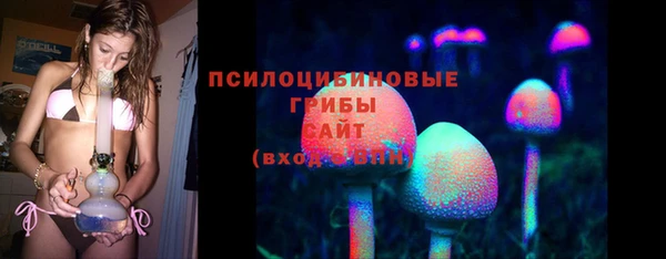 ГАЛЛЮЦИНОГЕННЫЕ ГРИБЫ Балабаново